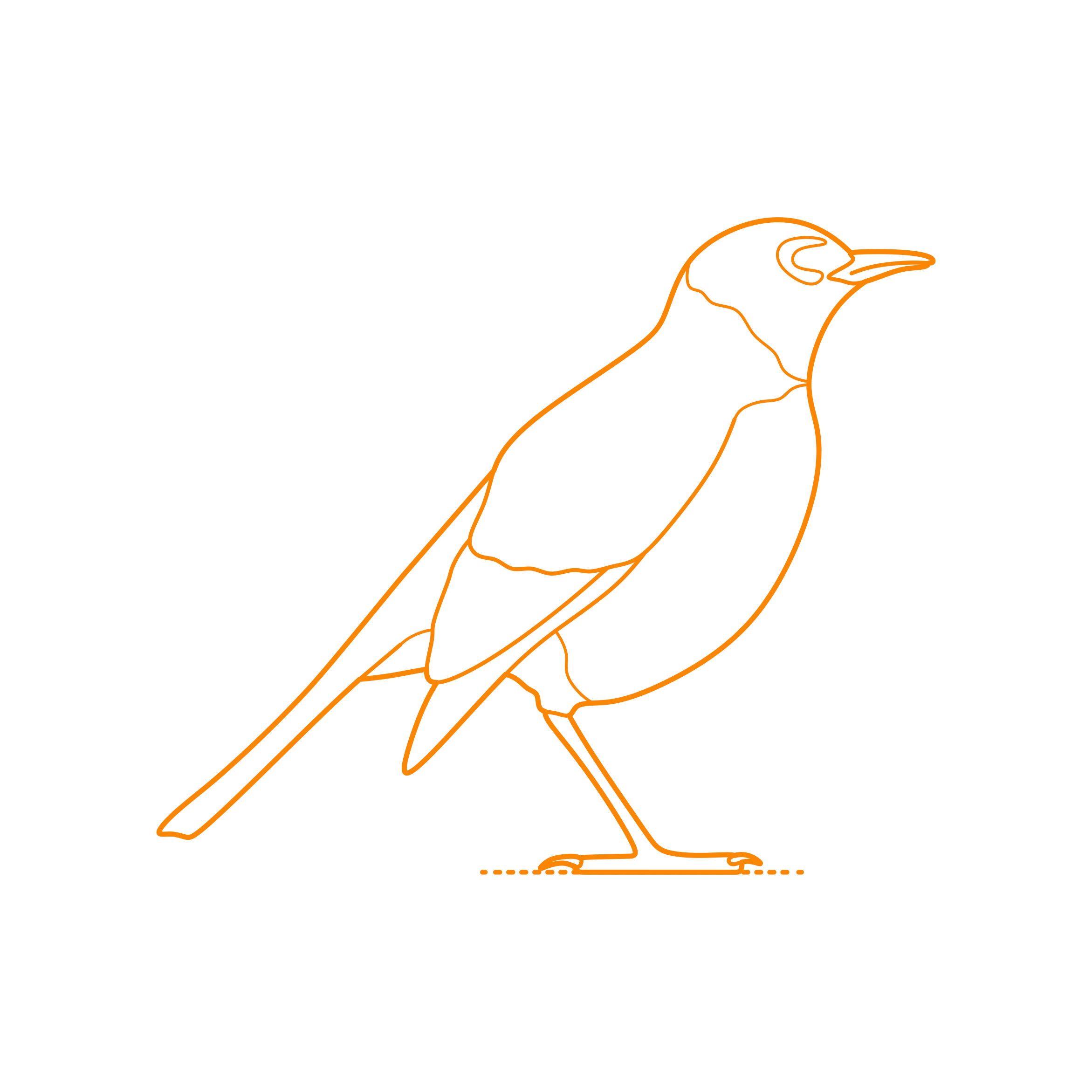 Animals Songbirds American Robin Digital Sketch Svg Design Free Vectors